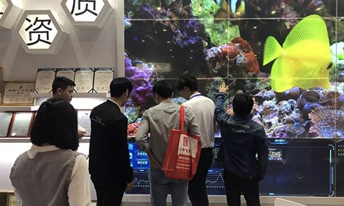 視通聯合2019年廣州LED展回顧